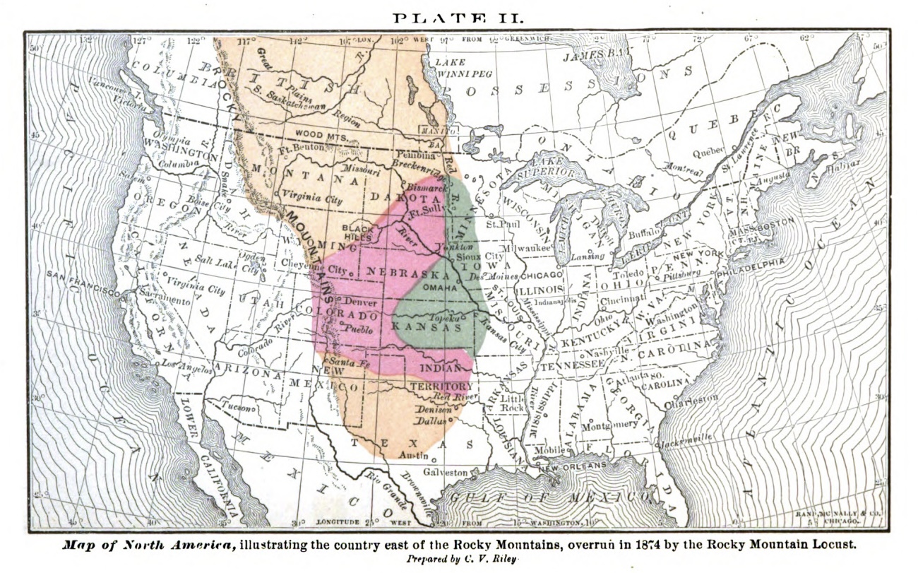 Locust Maps Example Locusts